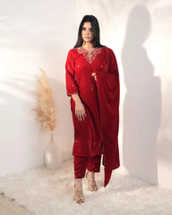 Handworked velvet salwar suit- red