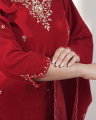 Handworked velvet salwar suit- red