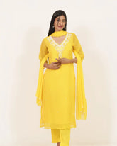 Minimal Handworked 3Pc Salwar Suit