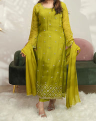 Organza handworked salwar suit