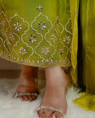 Organza handworked salwar suit