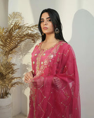 A line short length mirror salwar suit pink
