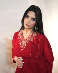 Handworked velvet salwar suit- red