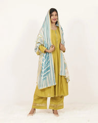 Solid Panel Cut 3Pc Anarkali