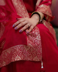 Rani pink cotton silk panel cut Anarkali